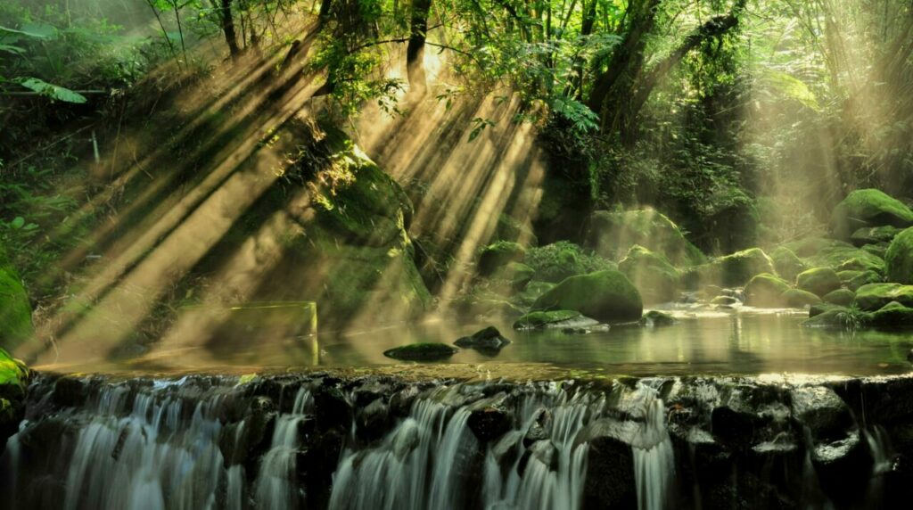 Tranquil waterfall in a lush forest with sunbeams streaming through the trees, creating a peaceful scene.