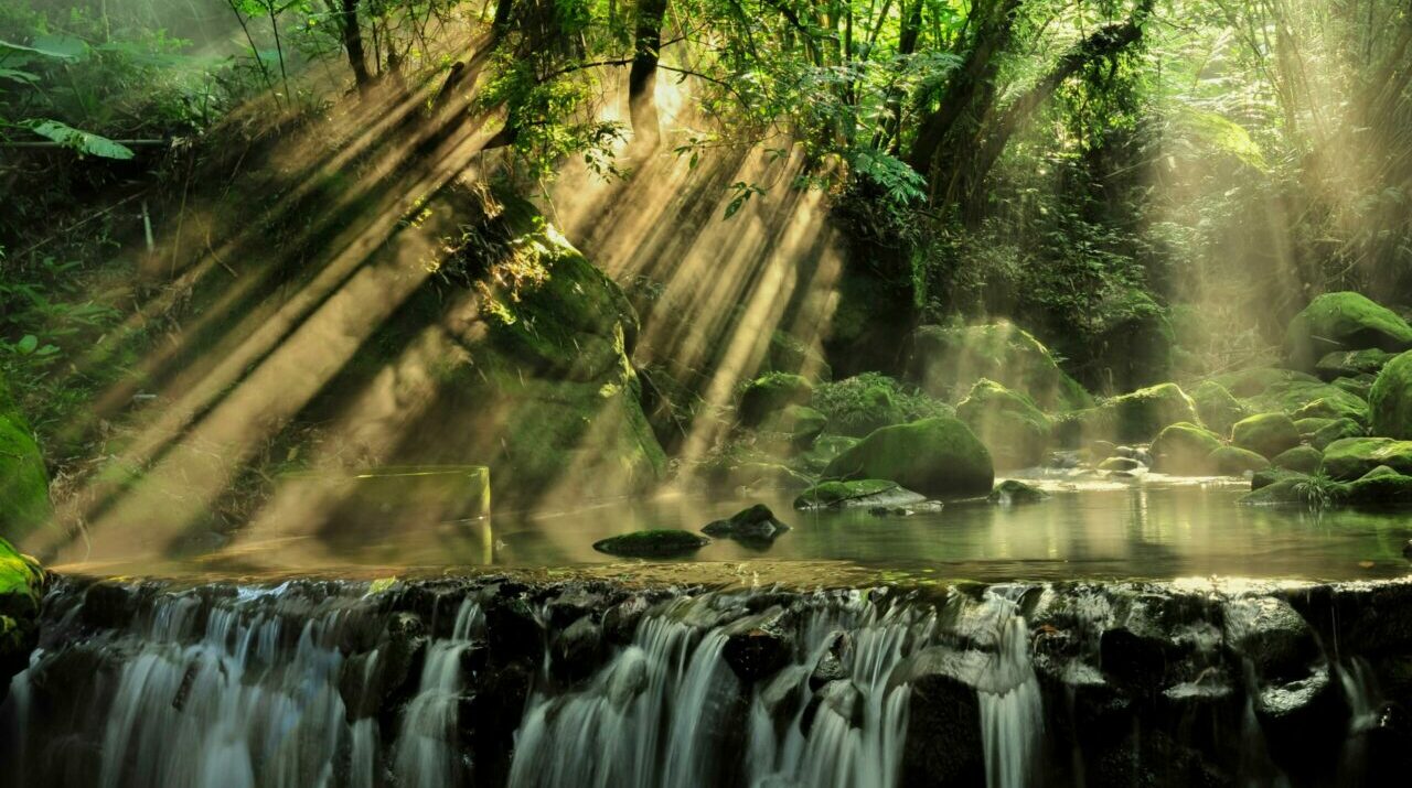 Tranquil waterfall in a lush forest with sunbeams streaming through the trees, creating a peaceful scene.